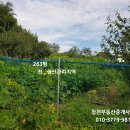내포농장 Daum카페