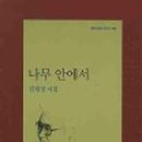 나무안에서 이미지