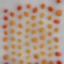 청담청초성형외과의원 이미지