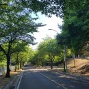 용평동 용호정 티스토리