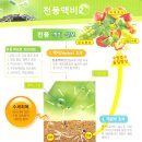 천풍농장 네이버블로그