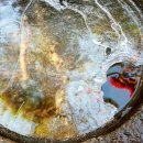 스키여행펜션 이미지