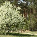 나무와흙한의원 이미지