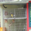 장광낚시터 이미지