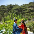 논산청과 - 동작구 성대로1길 10 | 논산청과