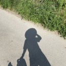 도비농장 이미지