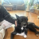 지영세탁소 이미지