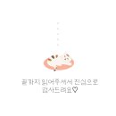 수상한발효실수국