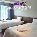 웨이브호텔 | 제주 서쪽 숙소 추천｜웨이브제주호텔 객실 솔직 후기