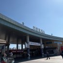 어시장소머리곰탕 | [포항 1박 2일 여행] 완벽했던 주말 코스 총정리! (죽도시장 대게, 장기식당, 스페이스워크, 주차 꿀팁)