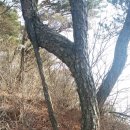 배치농장 이미지