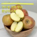 연두사과 | 연두밭 경북 부사 못난이사과 꿀사과 중과 후기