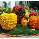 파프리카 조형물 이미지