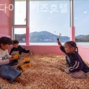 고고펜션 | 경기 키즈펜션 1박 후기 고고다이노 키즈호텔 깔끔한 갓성비 숙소로 추천