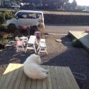 신풍민박 이미지