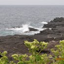 호두태양광발전소 이미지