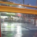 파페모에 이미지