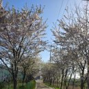 빵빵키즈풀빌라 | 대부도 아기랑 여행 빵빵키즈풀빌라 방문 후기