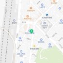 더플라워넝쿨