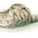 양이야기 이미지