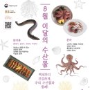 장어랑문어랑 이미지