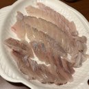 삼일수산활어회