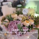 하버플라워 티스토리