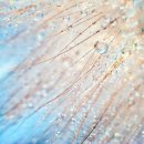 송만오 | 과거제도의 역사