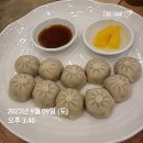 오달당 - 성남시 분당구 황새울로258번길 43 | 부산 연산동 온천천 반려동물동반 카페 오달당 내돈내산 후기 (feat. 누리마을감자탕)