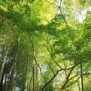 인문학 고전 읽기 이미지