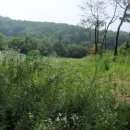 제천공인중개사사무소 이미지