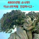 70代 人生의 갈림길 이미지