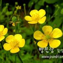 오늘의 당신 - 65522 | 오늘의 당신
