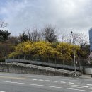 응봉개나리어린이공원 이미지