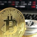 주식회사 비트코퍼레이션