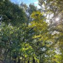 북한산초입 화장실 이미지