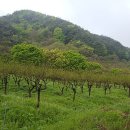 부자농장1 이미지