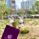 전진세차장 | [울산 세차장] 울산 노터치 세차장 후기ㅣ1,100평 전국 최대 규모 더 편한 세차 퍼펙트 코스 후기