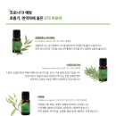 아로마헤어살롱 이미지