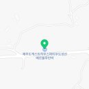 제주도게스트하우스파티 메르블루민박 이미지