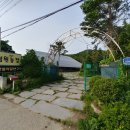 준표농장 네이버블로그