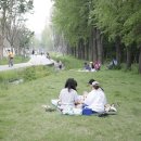 산책하는날 이미지