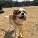 24시 서초바른동물병원 이미지