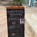 클래스 | 쪼선생펫아트 양모야채키링 김해원데이클래스 후기