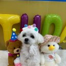 용호유치원 이미지