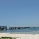 바다로 가는 길목 이미지