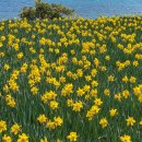 개간지천 이미지