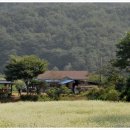 영서로5 이미지