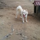 병태농장 이미지