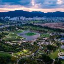 섬 우럭축제 이미지